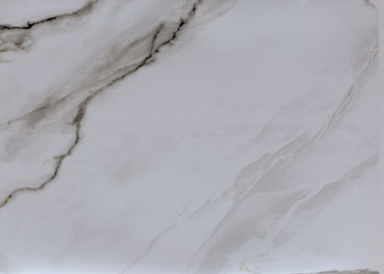 Φυλλόμορφη μαρμάρινη αυτοκόλλητη ταπετσαρία ταινιών επίδρασης